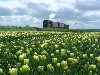 Casa per le vacanze Sint Maartensvlotbrug Ambiente 25