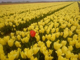 Casa per le vacanze Sint Maartensvlotbrug Ambiente 23