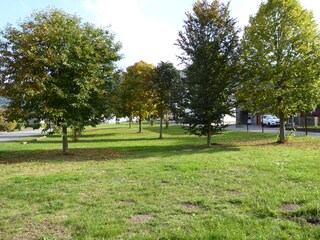 Wiese gegenüber vorm Haus