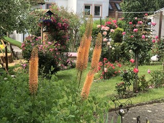 Ferienwohnung Klettgau Umgebung 16