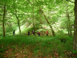 Wutachschlucht