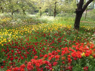 Insel Mainau