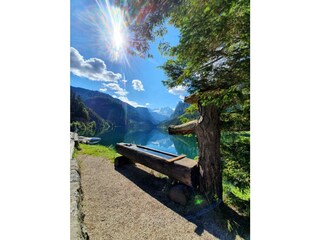 Casa per le vacanze Gosau Ambiente 34