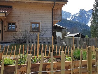 Casa de vacaciones Gosau Grabación al aire libre 12