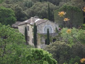 Ferienhaus La Verdière - Montclus - image1