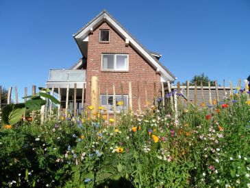 Ferienhaus Schlei-Ufer-Blick