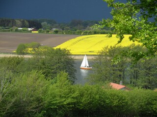 In den schönsten Farben - die Schlei