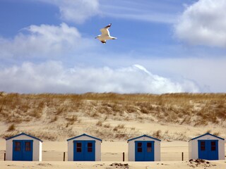 Vakantiehuisje De Koog Omgeving 17