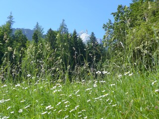 Wanderungen