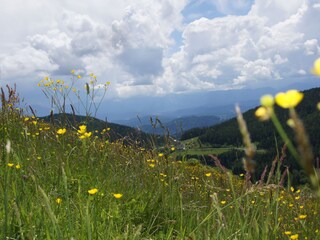 Appartamento per vacanze St. Urban Registrazione all'aperto 27