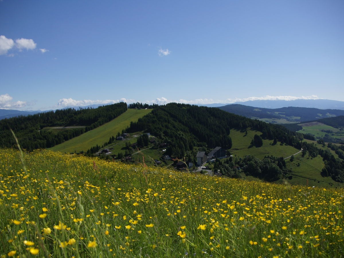 Blick vom Hocheck auf die Ferienanlage und Paulsberg