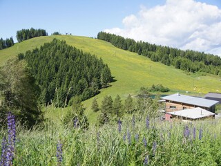 Appartamento per vacanze St. Urban Registrazione all'aperto 30