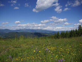 Appartamento per vacanze St. Urban Registrazione all'aperto 24