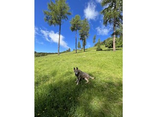 Appartamento per vacanze St. Urban Registrazione all'aperto 25