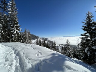 Appartamento per vacanze St. Urban Registrazione all'aperto 33