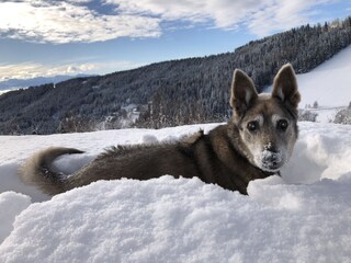 Appartamento per vacanze St. Urban Registrazione all'aperto 37