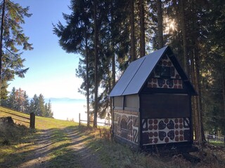 Appartamento per vacanze St. Urban Caratteristiche 40