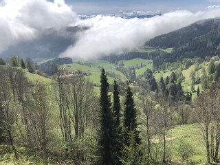 Appartamento per vacanze St. Urban Caratteristiche 41