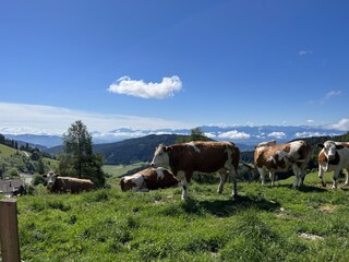 Appartamento per vacanze St. Urban Registrazione all'aperto 23