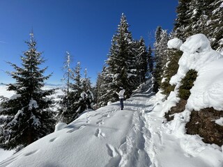 Schneeschuhwandern in der Umgebung