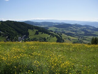 Holiday apartment St. Urban Outdoor Recording 20