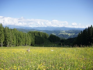 Appartamento per vacanze St. Urban Registrazione all'aperto 30