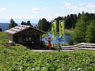 Casa per le vacanze Patergassen Ambiente 31