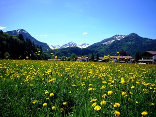 Appartamento per vacanze Oberstdorf Ambiente 16
