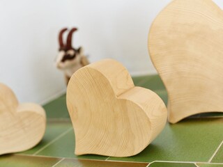 Appartamento per vacanze Oberstdorf Caratteristiche 9