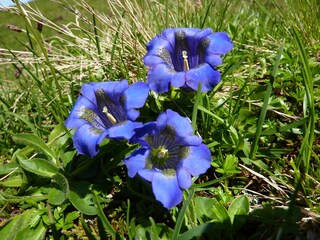 Appartamento per vacanze Oberstdorf Ambiente 20