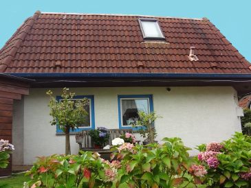 Ferienhaus Kiebitz
