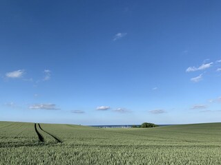 Appartement de vacances Bliesdorf Enregistrement extérieur 6