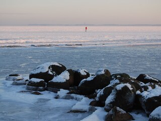 Appartement de vacances Bliesdorf Environnement 37