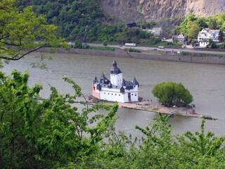 Burg Pfalzgrafenstein