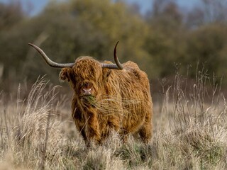 Casa per le vacanze De Heen Ambiente 28