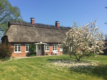 Ferienhaus Appelhus