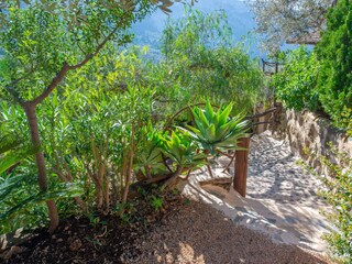 Tenuta Fornalutx Registrazione all'aperto 26