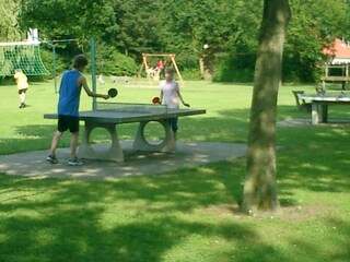 Vakantiehuis Bruinisse Omgeving 16