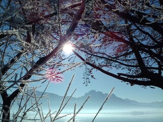 Chalet Rieden am Forggensee Ambiente 17