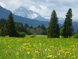 Chalet Rieden am Forggensee Entorno 19