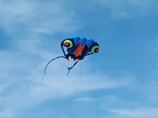 always popular: to fly a kite