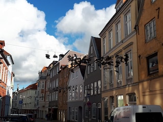 Appartement de vacances Kronsgaard Environnement 35