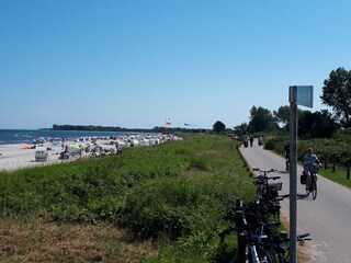 beautiful bicycle paths along the baltic sea