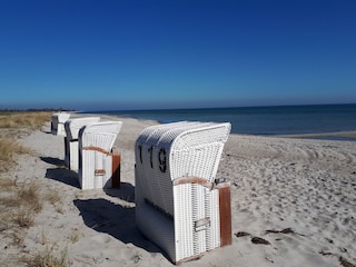 Appartement de vacances Kronsgaard Environnement 26