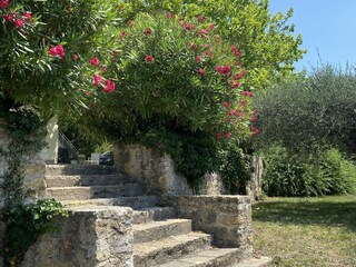 Vakantiehuisje Montauroux Buitenaudio-opname 6