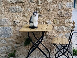 Montauroux impressions...