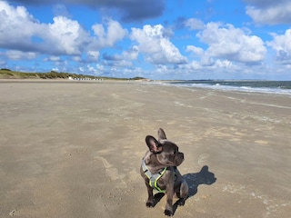 Casa per le vacanze Kamperland Ambiente 34