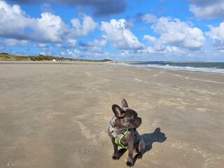 Casa per le vacanze Kamperland Ambiente 35