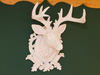 Casa per le vacanze Waidring Caratteristiche 9