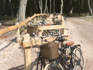 Ferienwohnung Zingst Ausstattung 27